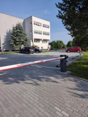 Pas Roma in Palanga